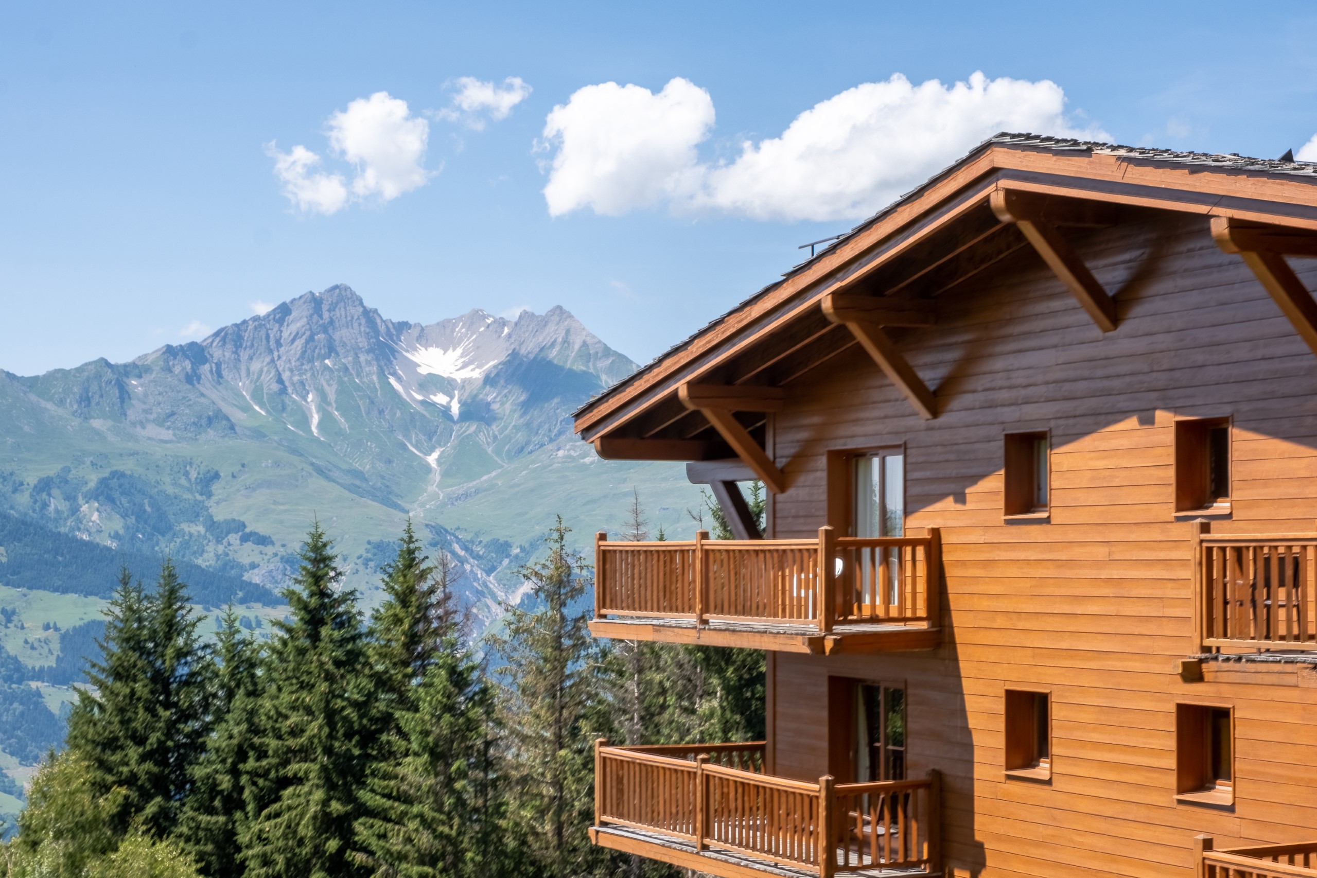 Premium residence Le Roselend 2p5p