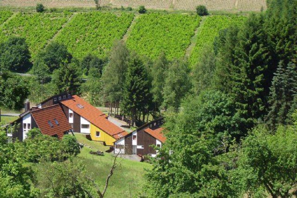 Typ Dachsbau