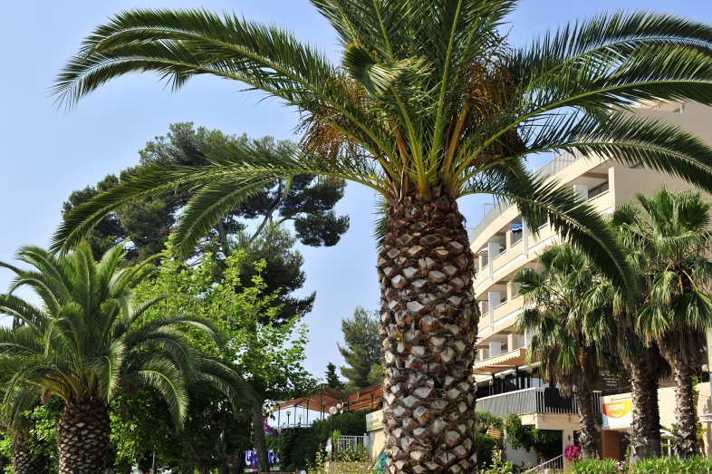 Bandol Port 2p6p
