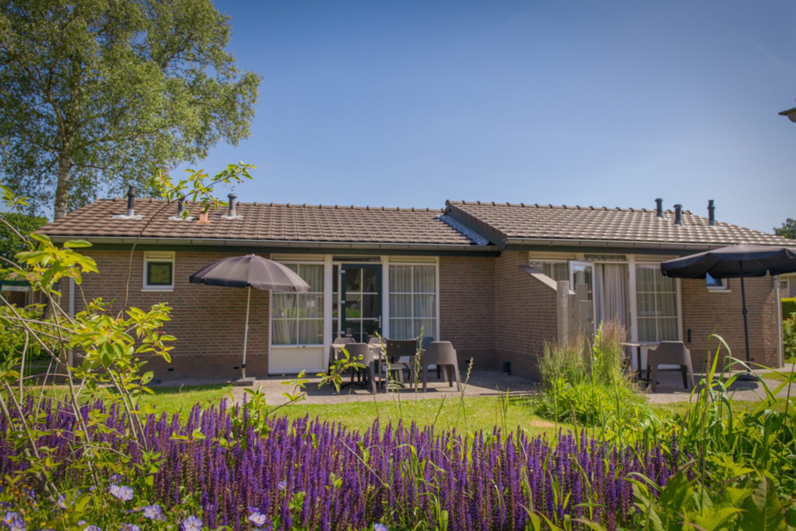 Leuke 6-persoons vakantiehuisje, Voorthuizen