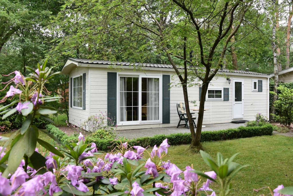 Bospark Doornspijk heerlijk chalet, Doornspijk