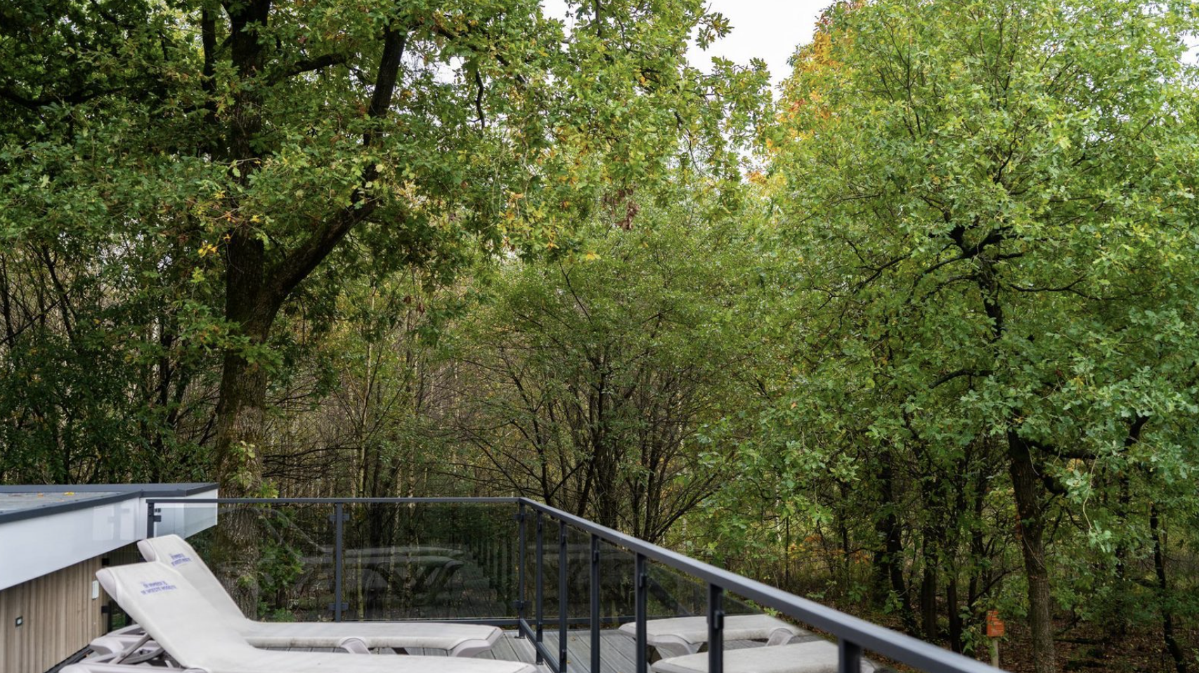 Vakantiewoning Boszicht XL Luxe - 6 persoons
