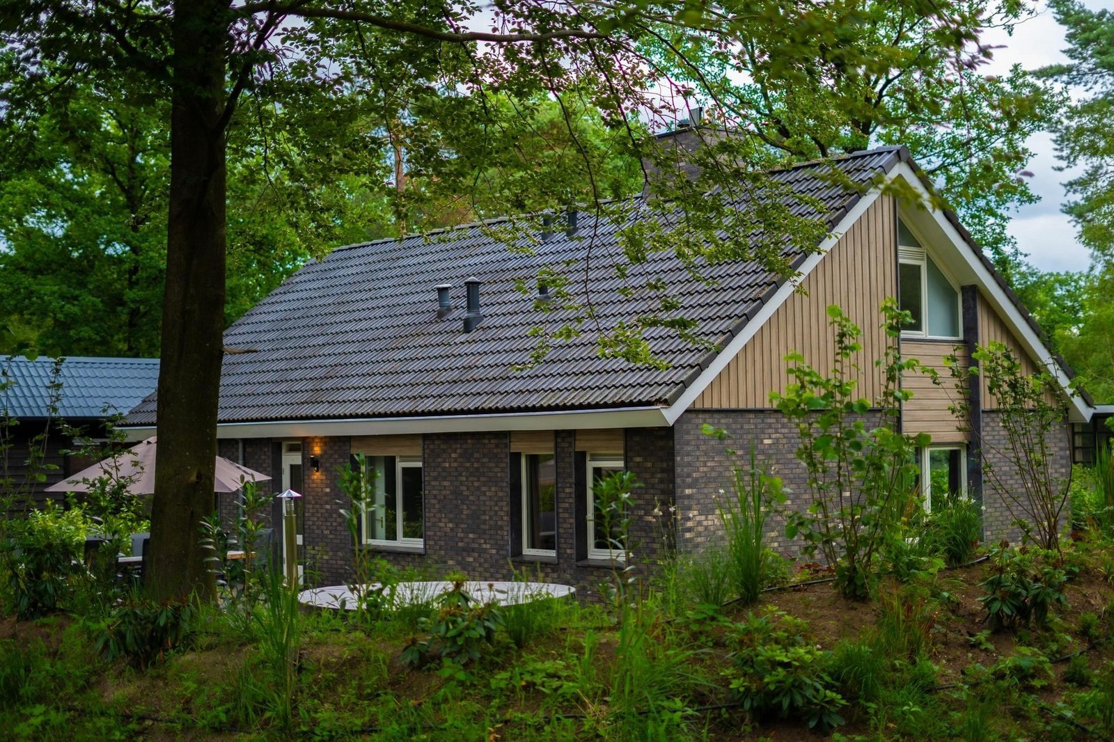 Groepsaccommodatie Specht - 10 persoons