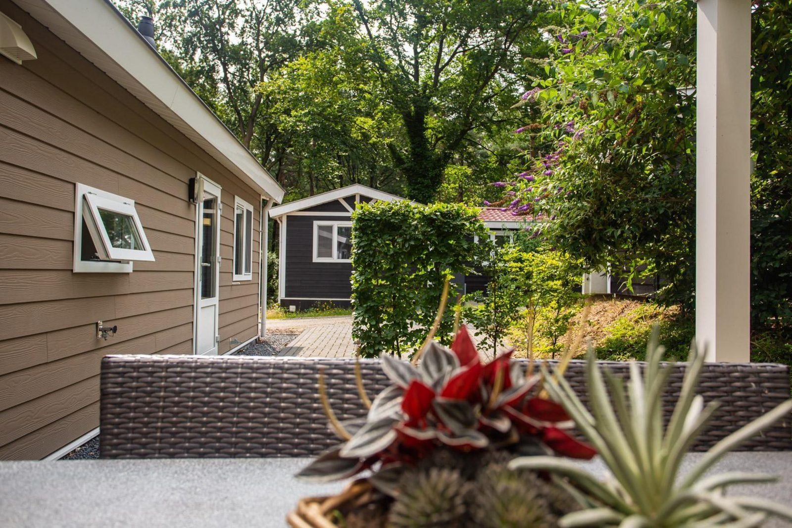 Heuvelrug Cottage Comfort - 4 personen, Rhenen