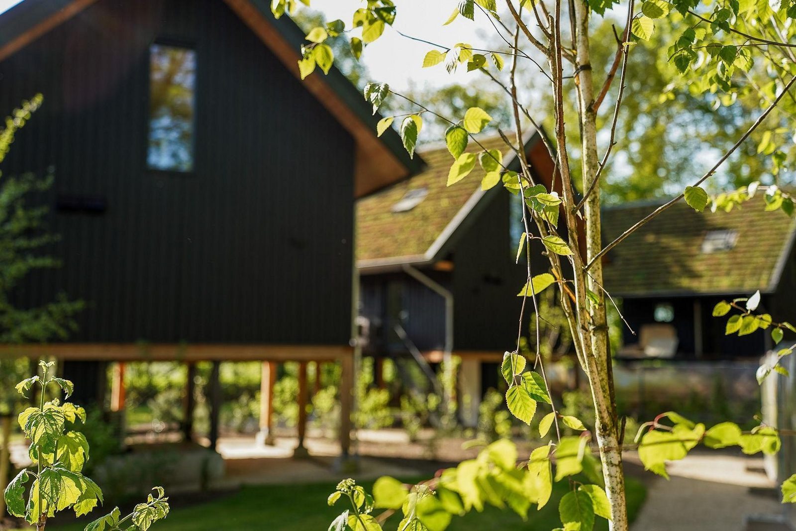 Natuur Villa met hottub - 4 personen