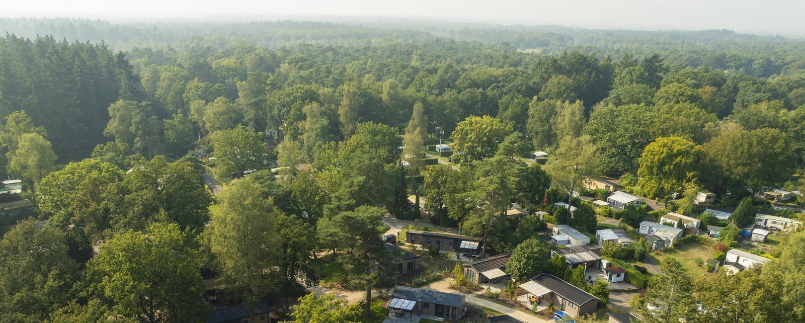 Veluwe Chalet - 6 personen