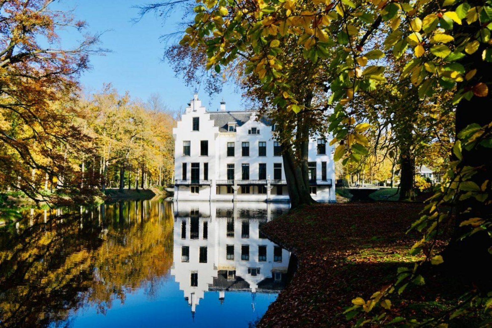 Veluwe Lodge - 4 personen