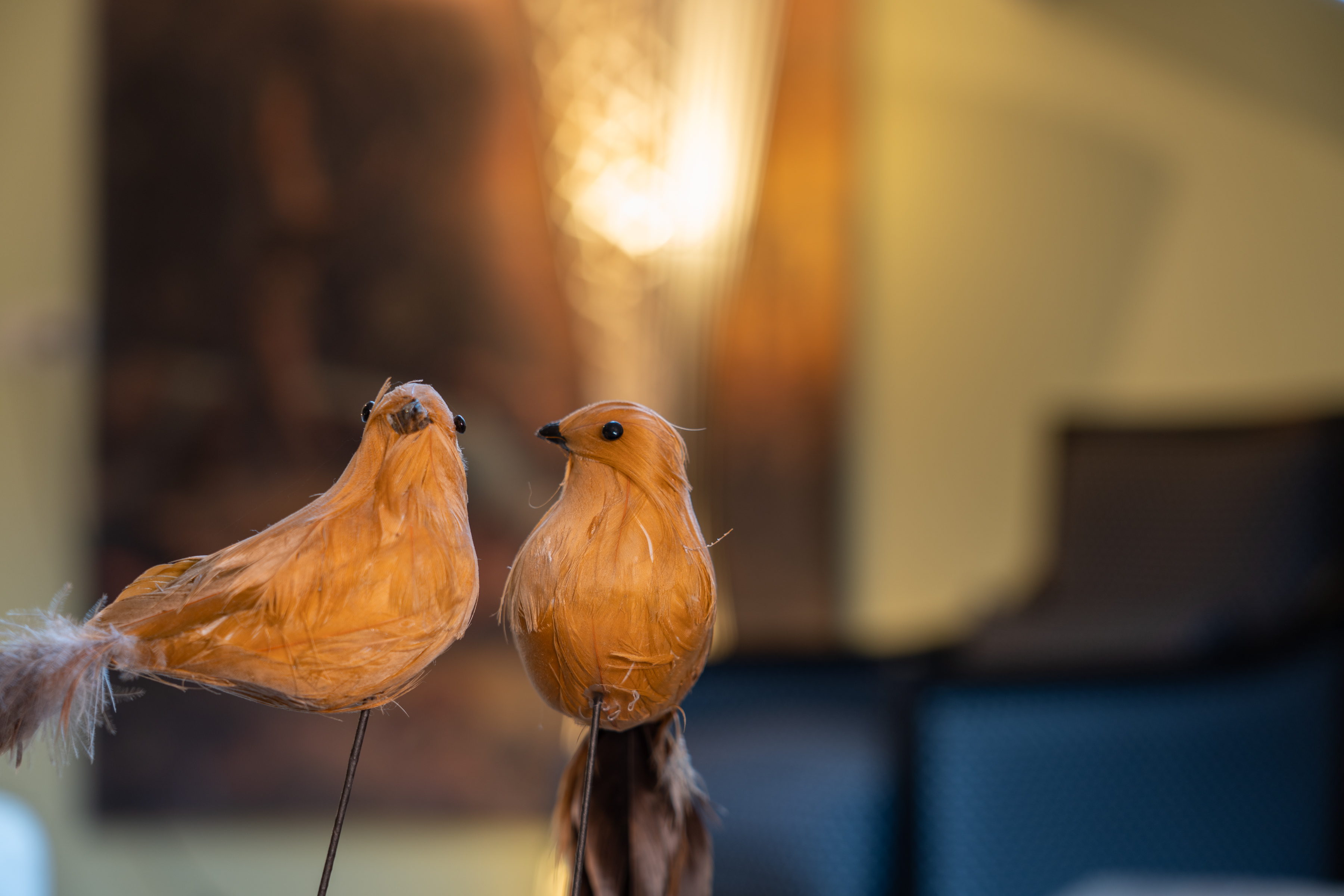 Unieke topvilla in Garderen prachtige natuur-wild-rust- luxe-spa-sauna